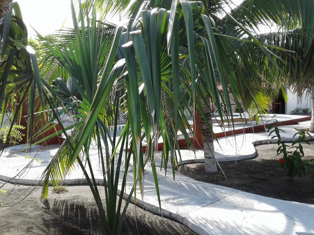 Bungalows Familiares Monterrico Eksteriør billede